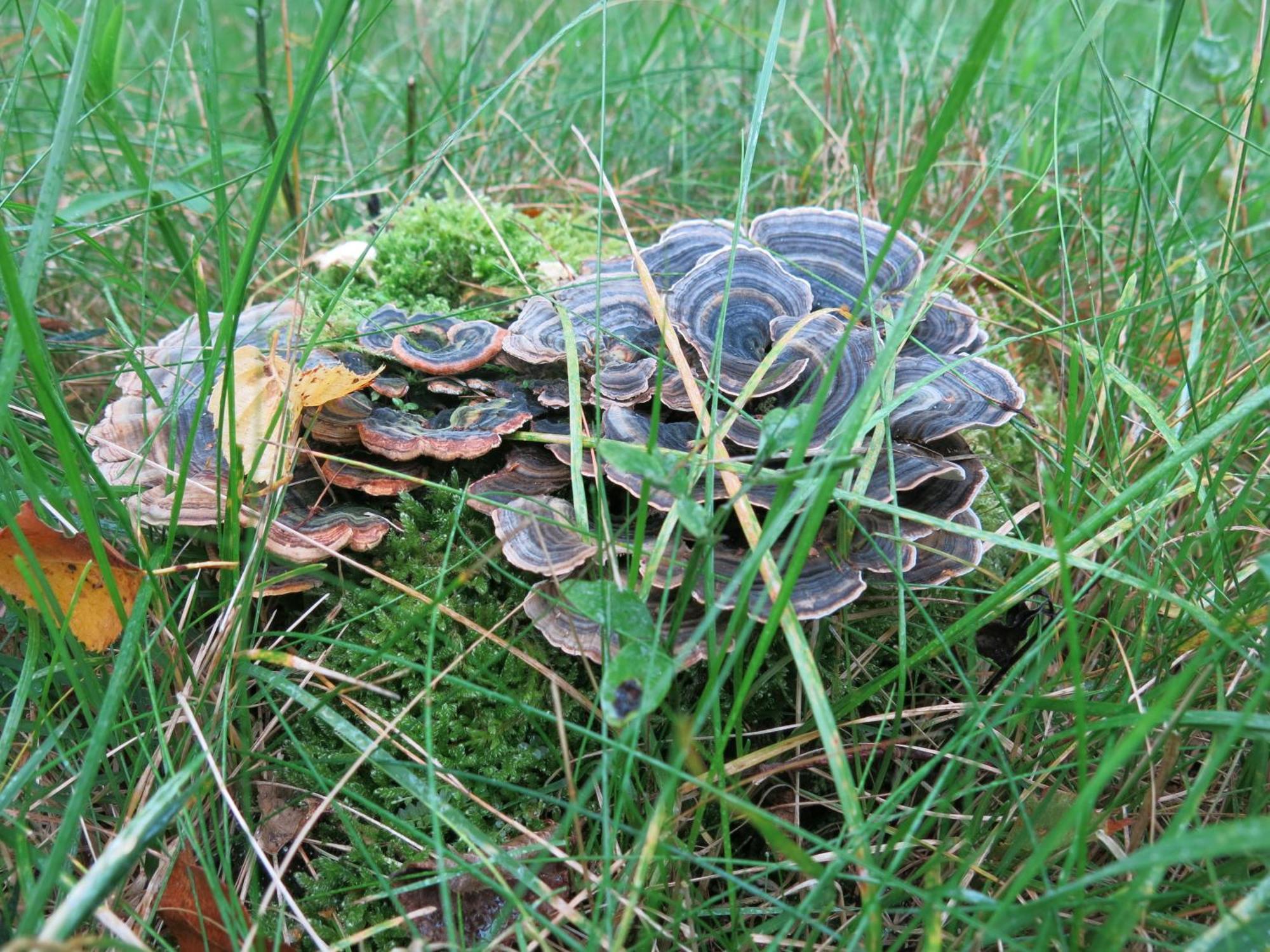 HöörOestra Nyrups Lantliv公寓 外观 照片